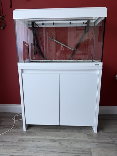Fluval roma 125l led - fish, tank
