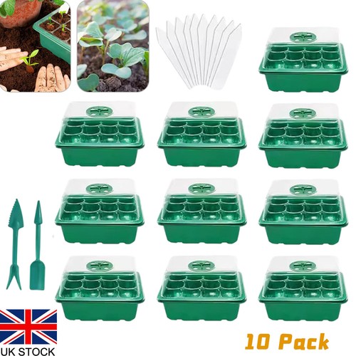 10pcs holes seed starter - 12,