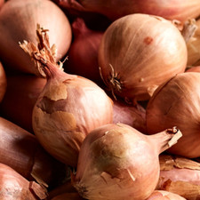Round Pickling Shallots LARGE SIZE* 45mm+ - 2025/26 Season - Parrish Farms