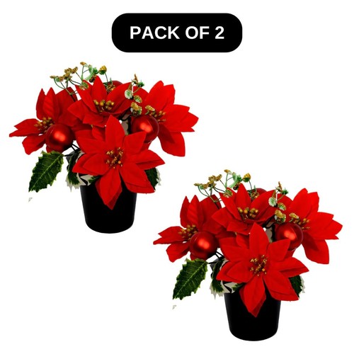 Christmas grave flower - grave,