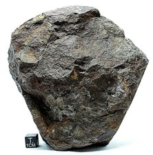 NWA XXX Meteorite ~ 1545 grams large meteorite ~ Nicely shaped meteorite