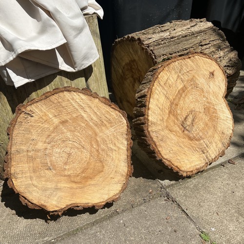 Wood log slices - xl,