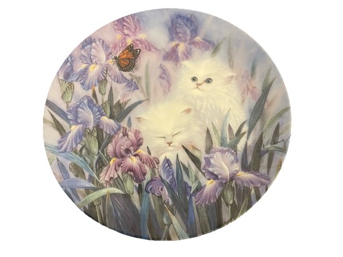 Garden discovery cat plate - plate, in