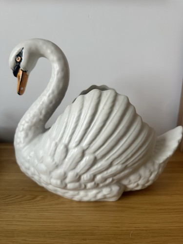 Gorgeous large devon dartmouth - large,