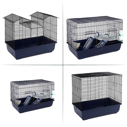 Hamster rat mice large - rat,