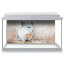 Fish tank background 90x45cm - fish,