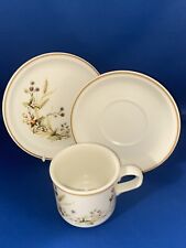 MARKS & SPENCER HARVEST DESIGN COFFEE TEA CUP SAUCER PLATE TRIO OVEN TO TABLE