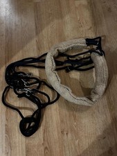 John Whitaker Pessoa Lunging