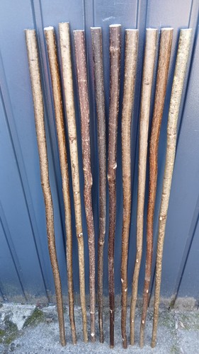 Hazel walking stick - hazel,