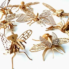 Insect Woodcraft Construction