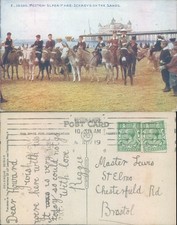 Donkeys on the sand with