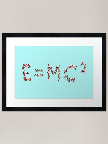 Ants collective intelligence - ants,