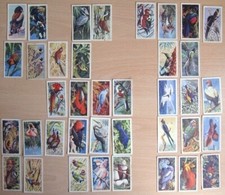 Brooke Bond Picture Cards