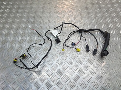 Left door wiring - left, loom