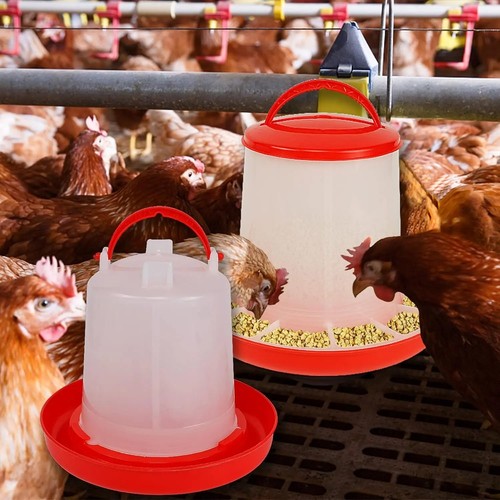 3kg poultry feeder - feeder, and