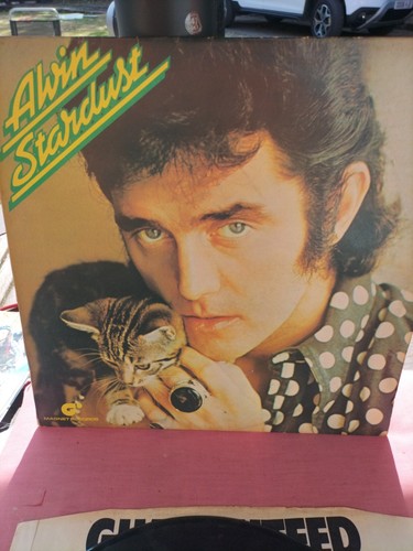 Alvin stardust - alvin,