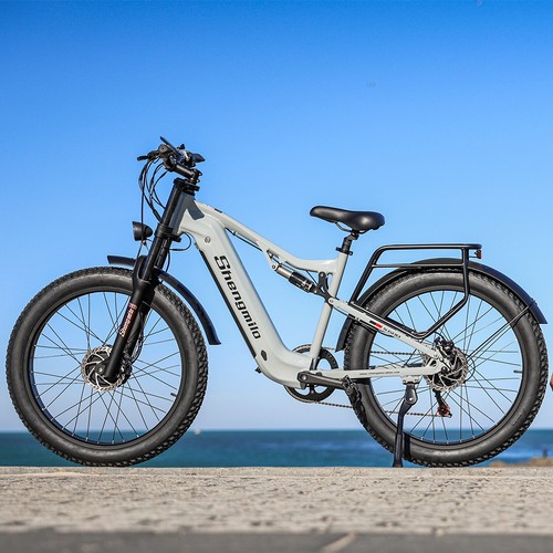Dual motor bike fat - dual,