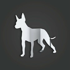 Xolo (Mexican Hairless) Style 1 Silver Acrylic Mirror