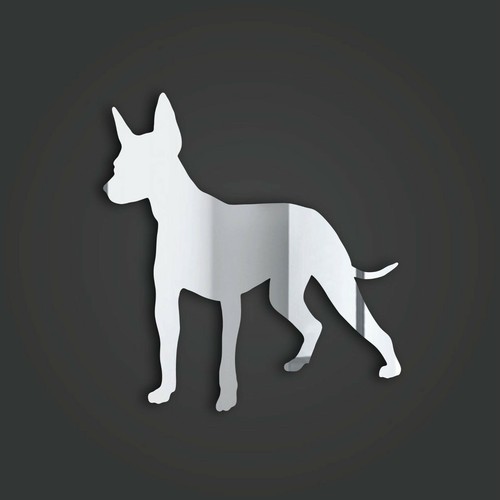 Xolo style - xolo, (mexican
