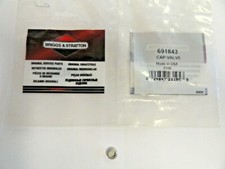 GENUINE BRIGGS AND STRATTON