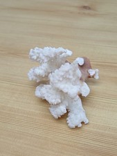 Vintage Genuine 4" Coral Branch Piece - Seashell - Nautical / Marine / Fossil