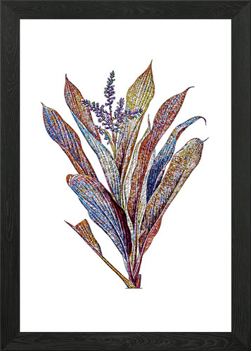 Stained glass cordiline - stained, framed