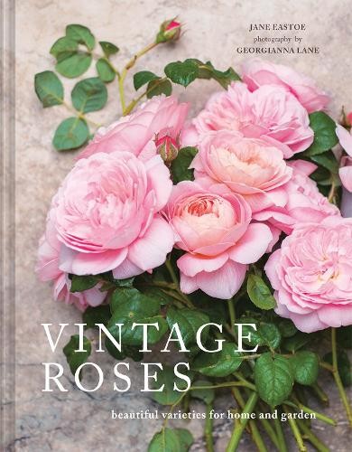 Vintage roses beautiful - vintage,