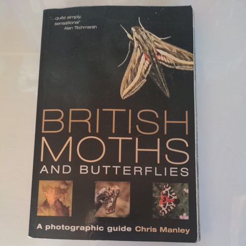British moths and butterflies - moths,