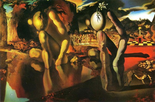 Salvador dali metamorphosis - dali,