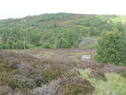 Photo 6x4 larsen trap glen - 6x4,