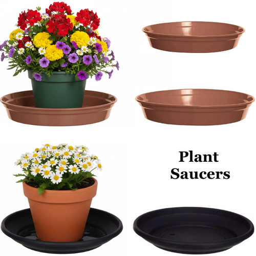 Plant saucer round base - base, water