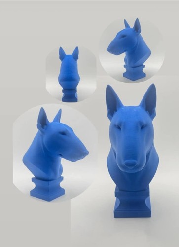 English bull terrier dog - english,