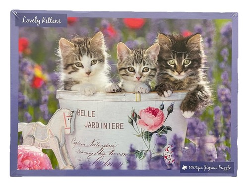 Lovely kittens 1000 piece - kittens,