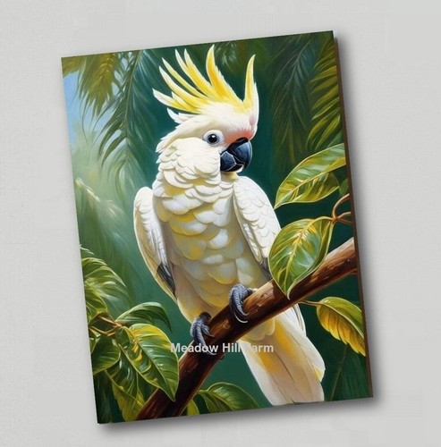 Fridge magnet cockatoo - fridge, parrot