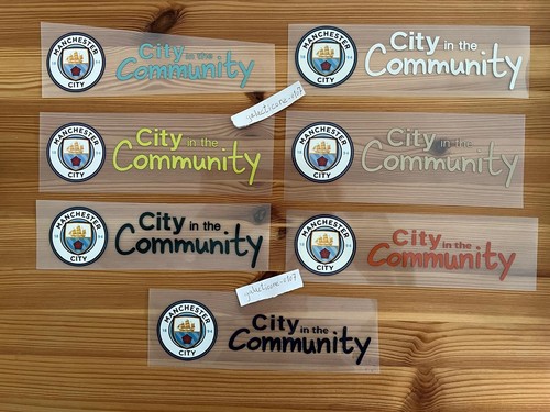 Premier league manchester city - league,