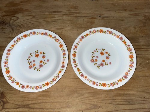 Vintage arcopal scania french - arcopal,