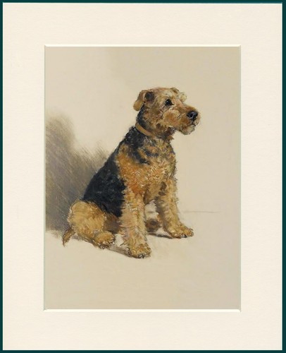 Welsh terrier dog art - welsh,