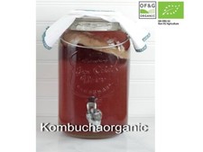 XL Organic Kombucha Scoby + Instruction And Starter Tea by Kombuchaorganic®