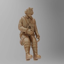 SW1154 WW2 RAF Pilot