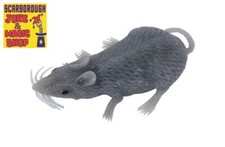 1x Mouse In The House ~