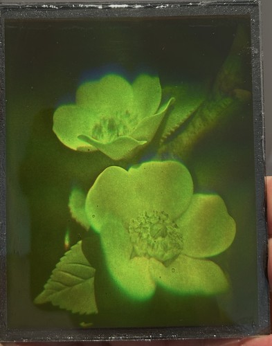 True laser hologram - , 3d