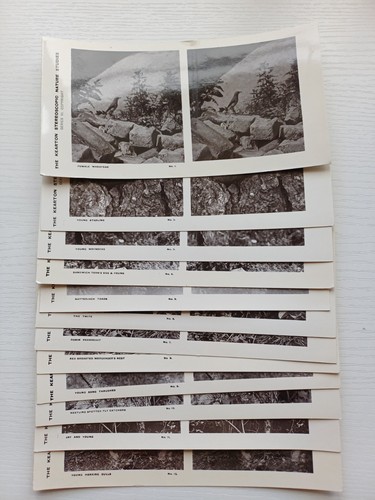 Antique kearton stereoscopic - antique,