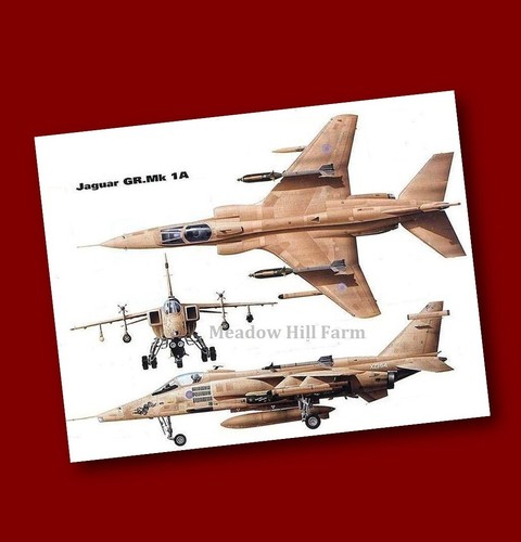 Fridge magnet raf - raf, jaguar