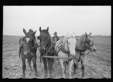 Plowing with four horses, Grundy County, Iowa 1940s Old Photo 1