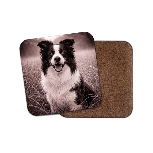 Border collie dog coaster - 1, x