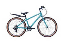 Brand New - Raleigh POP 24”