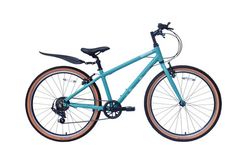 Brand new raleigh - brand,