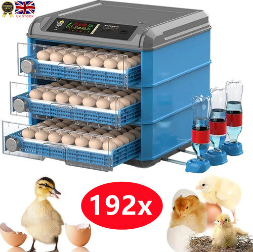 Automatic digital incubator - digital,