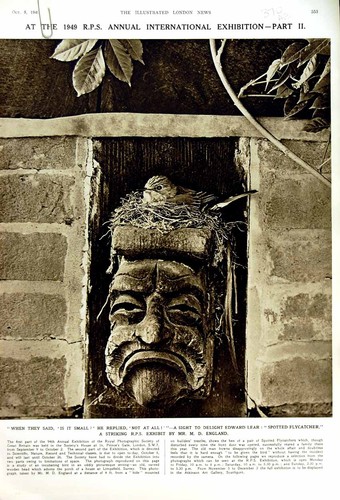 Old vintage print - old,