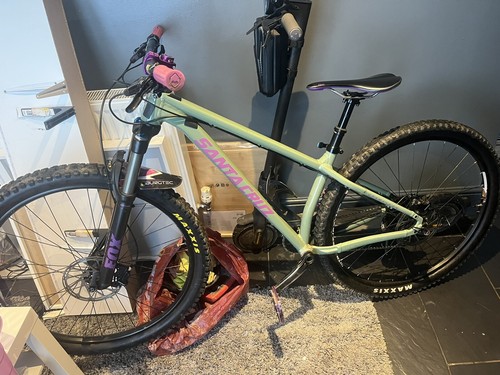 Santa cruz chameleon - santa,